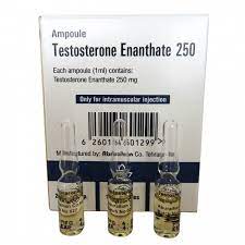Testosterone Enanthate 250mg/ml Injection
